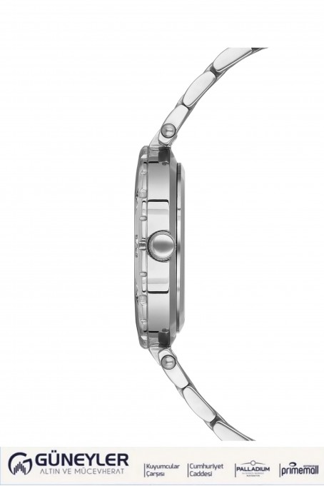 NACAR ÇELİK METAL BAND KADIN KOL SAATİ NC10-3931009-ASMS