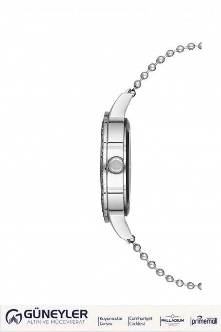 NACAR ÇELİK METAL BAND KADIN KOL SAATİ NC10-3931019-ASMS NACAR ÇELİK METAL BAND KADIN KOL SAATİ NC10-3931019-ASMS