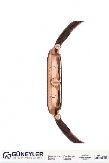 NACAR KAHVERENGİ HAKİKİ DERİ KADIN KOL SAATİ NC33-396678-RKL2 NACAR KAHVERENGİ HAKİKİ DERİ KADIN KOL SAATİ NC33-396678-RKL2