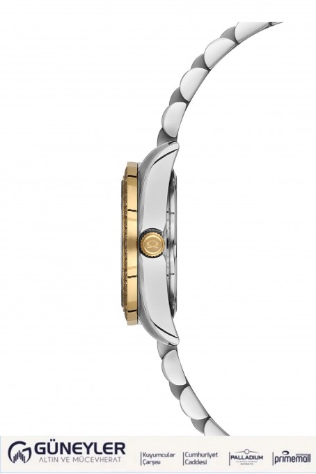 NACAR ÇELİK - SARI METAL BAND KADIN KOL SAATİ NC34-39A427-CWMS