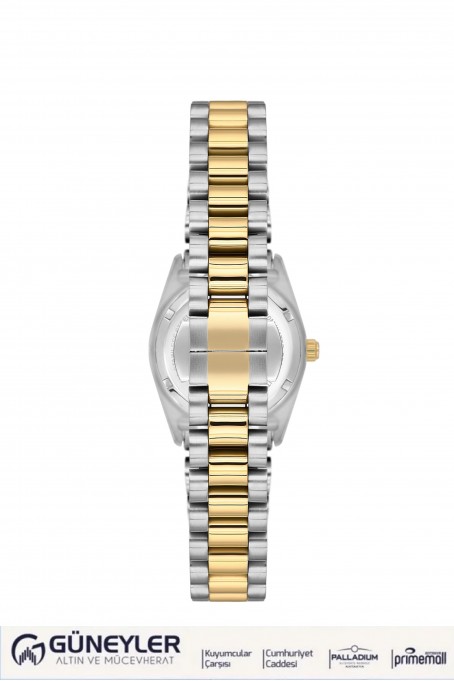 NACAR ÇELİK - SARI METAL BAND KADIN KOL SAATİ NC34-39A427-CWMS