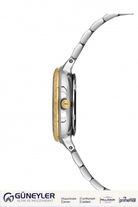 NACAR ÇELİK - SARI METAL BAND KADIN KOL SAATİ NC34-39B716-CSMS