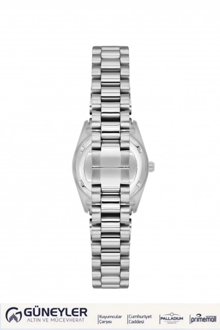 NACAR ÇELİK METAL BAND KADIN KOL SAATİ NC34-39B715-ASMS