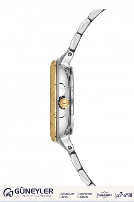 NACAR ÇELİK - SARI METAL BAND KADIN KOL SAATİ NC34-39B716-CNMS