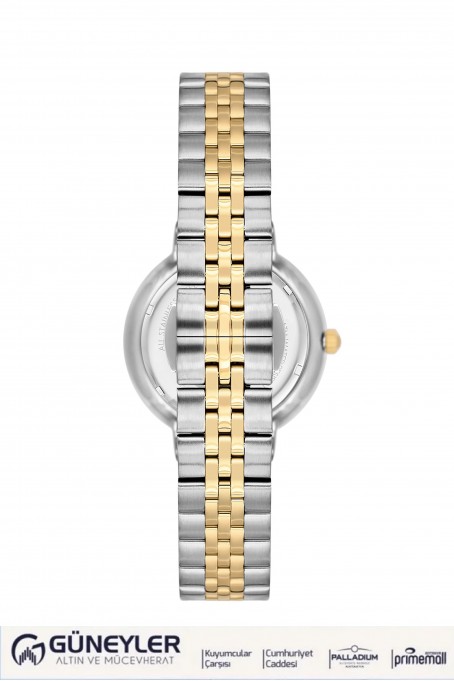 NACAR ÇELİK - SARI METAL BAND KADIN KOL SAATİ NC34-39B716-CNMS