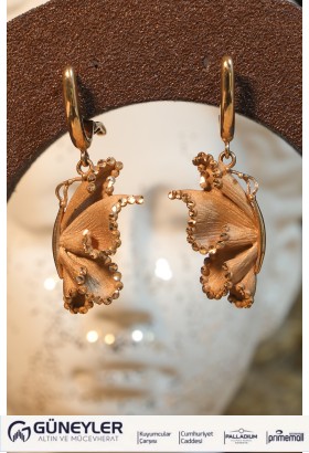 ROBERTO BRAVO SOUL DANCE KÜPE A069997