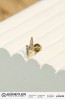 TRAGUS KÜPE 14 AYAR A082295