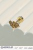 TRAGUS KÜPE 14 AYAR A082298 TRAGUS KÜPE 14 AYAR A082298