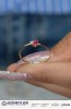 PEMBE TAŞLI YÜZÜK 14 AYAR A080549 PEMBE TAŞLI YÜZÜK 14 AYAR A080549