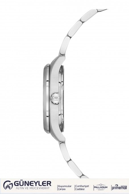 NACAR ÇELİK METAL BAND KADIN KOL SAATİ NC33-398316-ALM