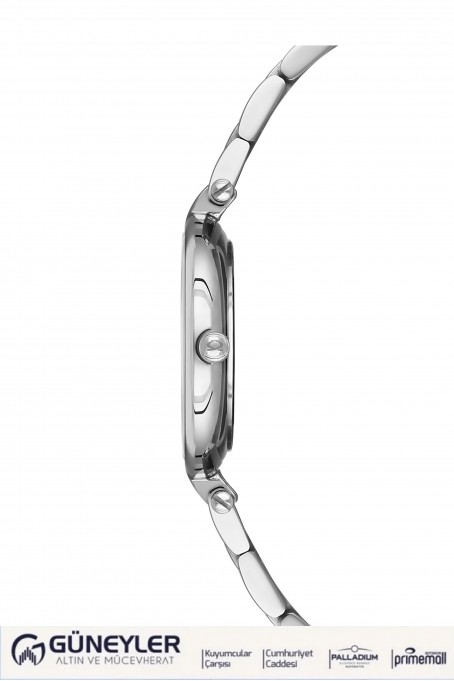 NACAR ÇELİK METAL BAND KADIN KOL SAATİ NC34-39C714-ARMS NACAR ÇELİK METAL BAND KADIN KOL SAATİ NC34-39C714-ARMS