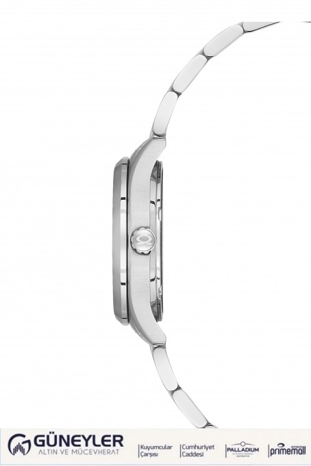 NACAR ÇELİK METAL BAND KADIN KOL SAATİ NC33-398316-APM