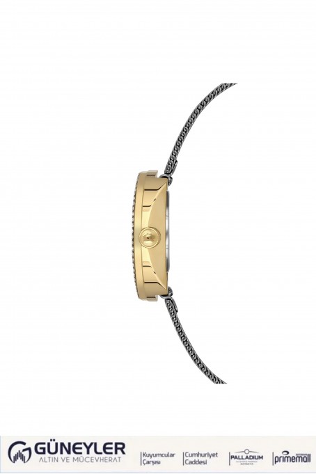 NACAR GRİ HASIR BAND KADIN KOL SAATİ NC17-3920594-GGMS