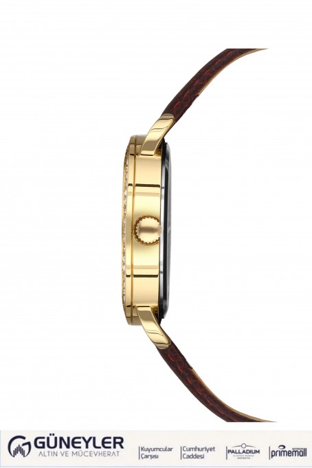 NACAR KAHVERENGİ HAKİKİ DERİ KADIN KOL SAATİ NC10-3931033-DSL2S NACAR KAHVERENGİ HAKİKİ DERİ KADIN KOL SAATİ NC10-3931033-DSL2S