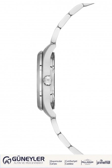 NACAR ÇELİK METAL BAND KADIN KOL SAATİ NC33-398316-ARM