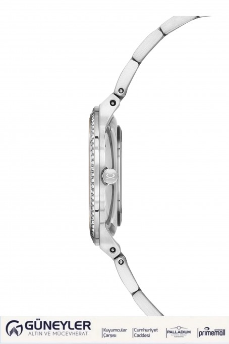 NACAR ÇELİK METAL BAND KADIN KOL SAATİ NC34-39B647-AGMS