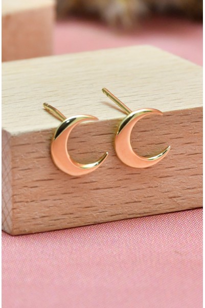 HİLAL KÜPE 14 AYAR A039968 HİLAL KÜPE 14 AYAR A039968