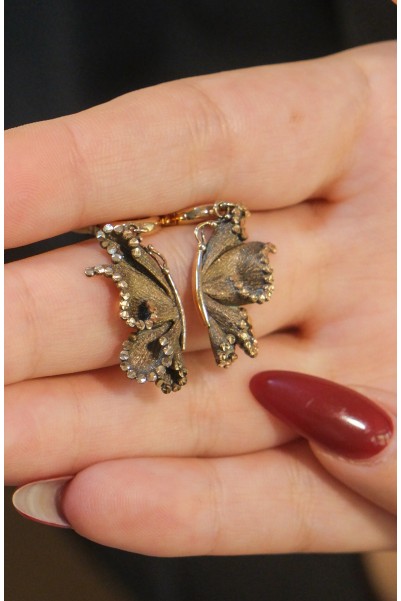 ROBERTO BRAVO SOUL DANCE KÜPE A046962