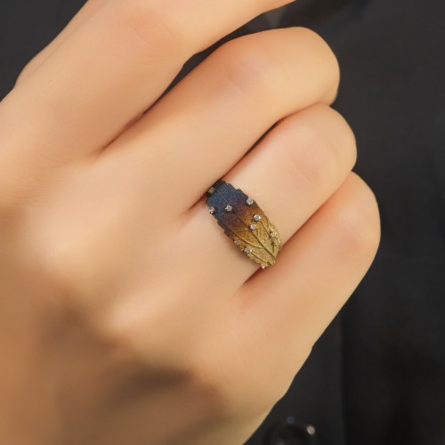 ROBERTO BRAVO GLOBAL WARMING YÜZÜK A054823 ROBERTO BRAVO GLOBAL WARMING YÜZÜK A054823