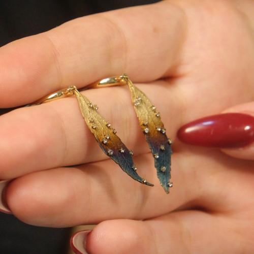 ROBERTO BRAVO GLOBAL WARMING KÜPE A054837 ROBERTO BRAVO GLOBAL WARMING KÜPE A054837