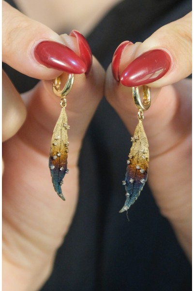 ROBERTO BRAVO GLOBAL WARMING KÜPE A054837 ROBERTO BRAVO GLOBAL WARMING KÜPE A054837