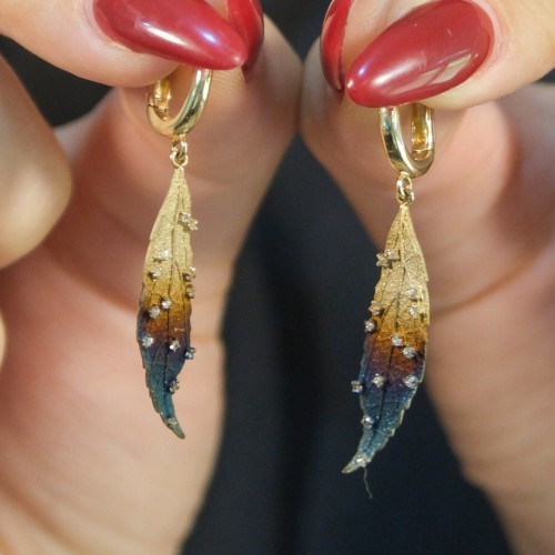 ROBERTO BRAVO GLOBAL WARMING KÜPE A054837 ROBERTO BRAVO GLOBAL WARMING KÜPE A054837